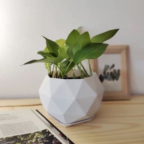 Home Decor — low-poly succulent planter